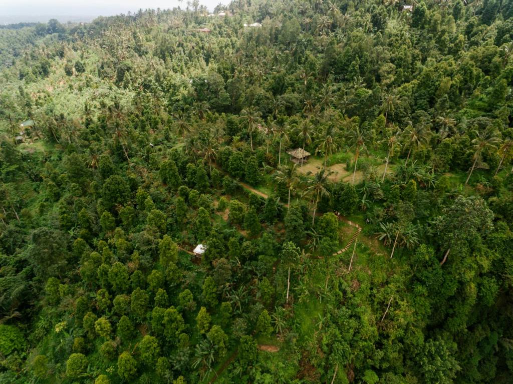 Rainforest Alliance certification: Three Pillars of Sustainability Practices in Global Supply&nbsp;Chain