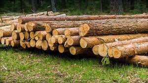 Introduction to the PEFC Standard: Sustainable Forest&nbsp;Management