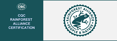 A Deep Dive into the Basics of Rainforest Alliance&nbsp;Certification